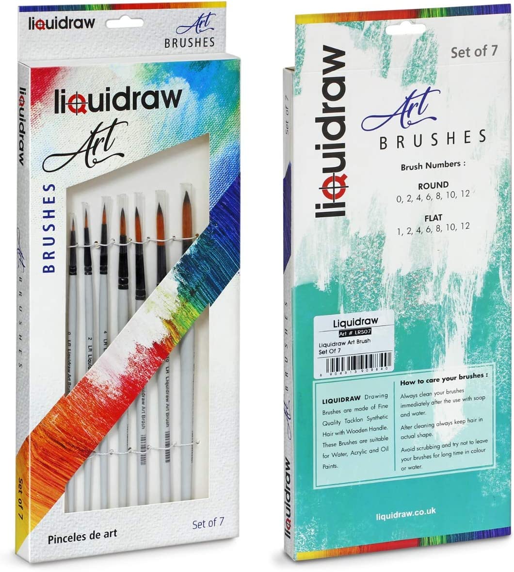 Liquidraw Acrylic Inks For Artists Set Of 10 Ink Set 35ml Professional